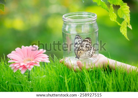 Spring background - flower, grass and butterfly in hand