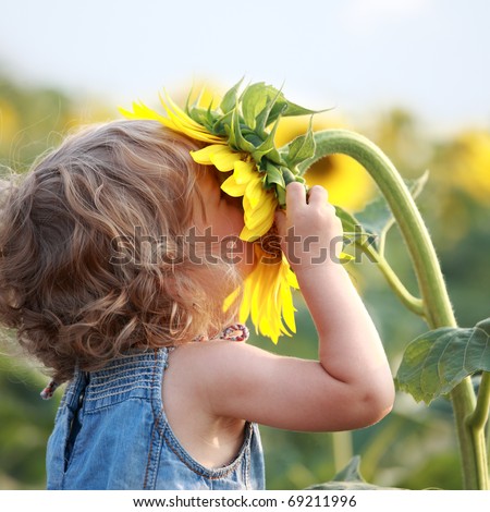 stock photo : Cute child with sunflower in summer field