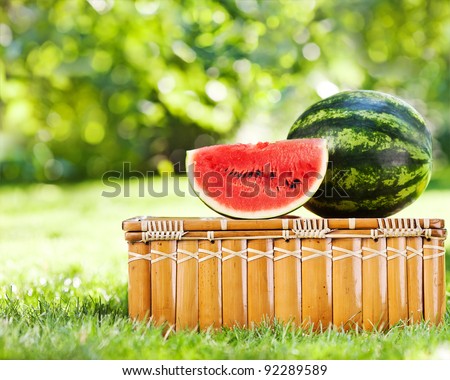 Juicy slice and watermelon on picnic hamper against natural green background in spring