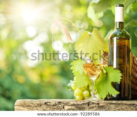 White wine bottle, glass, young vine and bunch of grapes against green spring background