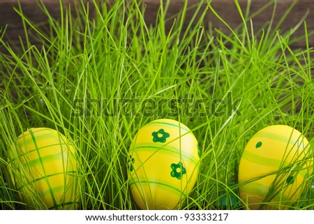 Easter eggs hidden in green grass against wooden background