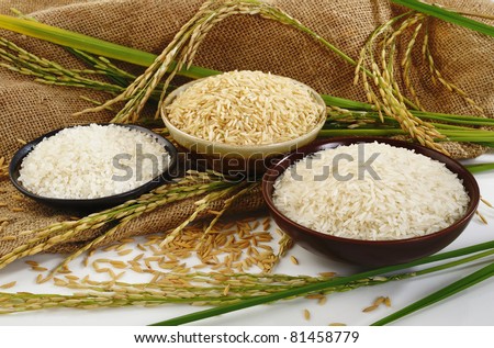 paddy rice,brown rice,white rice and japanese rice on sack background