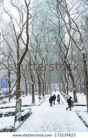 NEW YORK-JANUARY 21: A snow filled view of Bryant Park during Winter Storm Janus on January 21, 2014 in Manhattan.