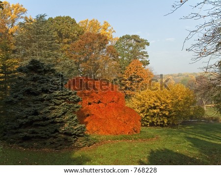This is a shot of some vibrant fall colors at a park in New Jersey.