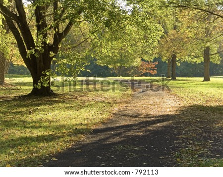 This is a backlit early fall scene of a walking path in a park.