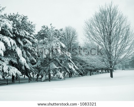 This is a greenish blue duo-tone shot of a park covered in fresh snow.