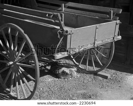 A black and white photo of an old carriage in a barn with a rooster getting some sunlight.