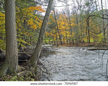 A stream winds through the Autumn woods of the Pocono Mountains in Pennsylvania.