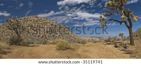 Interesting rock formations and the Joshua tree are part of the interesting landscapes in Joshua Tree National Park in Southern California.