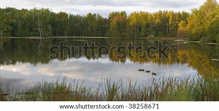 A panoramic early Autumn view of a pond in The Manasquan Reservoir, Monmouth County, NJ Park System.