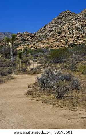 A path leading through the desert in Joshua Tree National Park in Southern California.