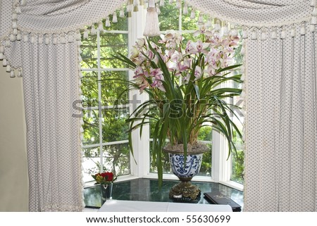 A house plant in a sunny window with curtains.