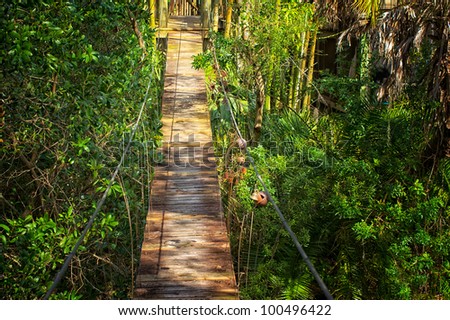 Looking across a suspended walking bridge in the middle of jungle like surroundings.