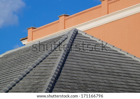 View of roof tiles at the apex of a building in florida with a high rise in the background.