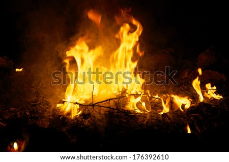 Flames and smoke fill this image of a ceremonial fire during a mayan ritual with candles around the edge.