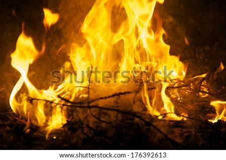 Flames, twigs,  and smoke fill this image of a ceremonial fire during a mayan ritual.