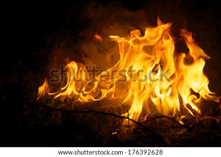 Flames and smoke fill this image of a ceremonial fire during a mayan ritual.