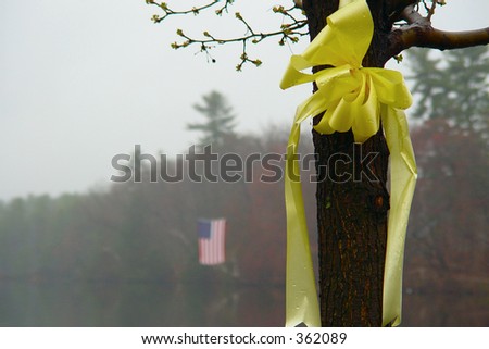 a yellow ribbon attached to the trunk of a tree sits out in the rain, in the background, the american flag hangs over the nashawannuck pond, easthampton, massachusetts
