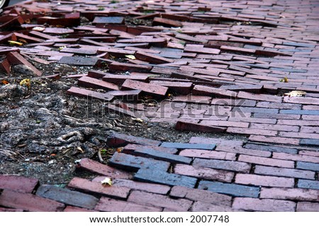 stock-photo-brick-sidewalk-looking-like-waves-as-the-roots-of-a-tree-push-them-up-and-disturbs-the-sidewalk-2007748.jpg