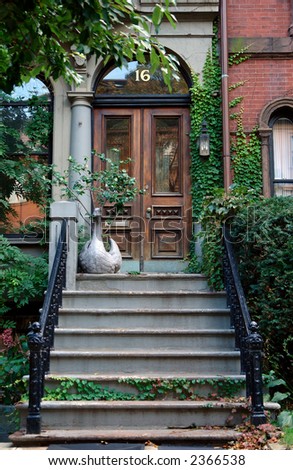 well adorned natural wood finish doorway with lots of foliage, cement stairs and swan flower pot