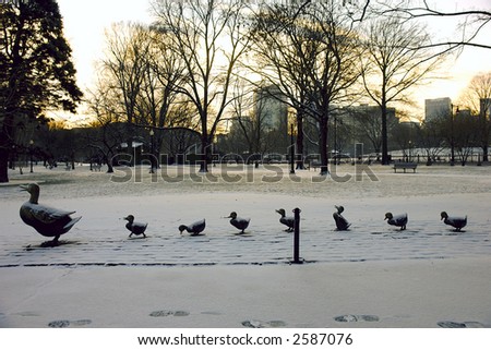 in oston#39;s public gardens Boston Snow Storm Photos. in oston#39;s public gardens