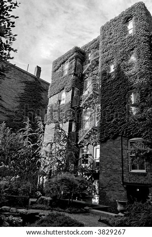 Black and white image of private beacon hill garden showing ivy covered apartment building