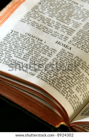 Bible Series. close up detail of antique holy bible open to the book of hosea in the old testament
