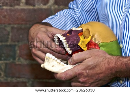doctor holding skull explaining jaw issues, close up on hands and skull
