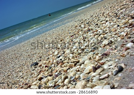 shell covered beach with man in distance in the ocean