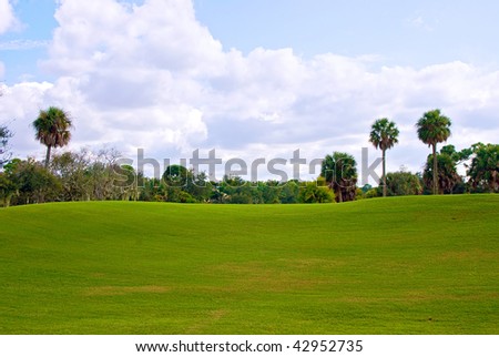 a beautiful rolling green hill of grass on florida golf course with trees and cloud filled sky. With plenty of copy space in the grass.