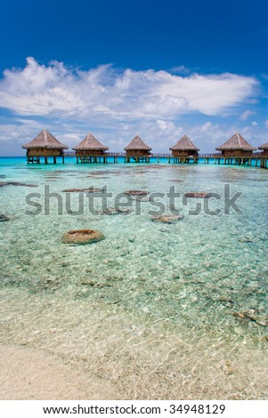 beautiful tropical bungalows and turquoise warm waters