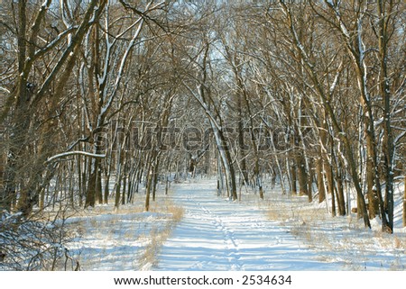 winter path; Homestead National Monument of America, Beatrice, Nebraska