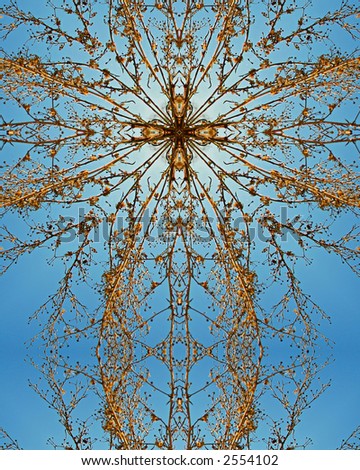 kaleidoscope cross: golden plant and blue sky2; Homestead National Monument of America, Beatrice, Nebraska