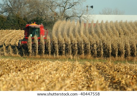 combine harvesting corn, rural Nebraska