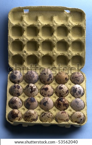 Quail eggs pack macro shot over blue background