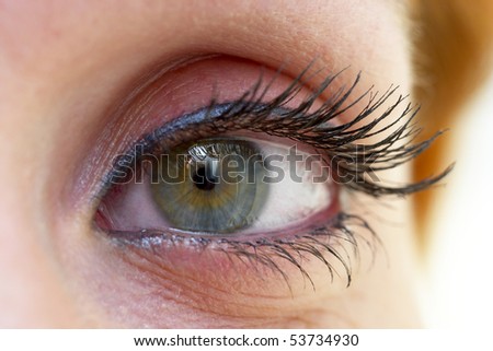 Woman eye extreme close-up macro shot (makeup)