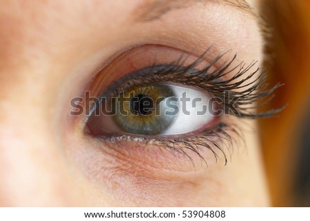 Woman eye extreme close-up macro shot (makeup)