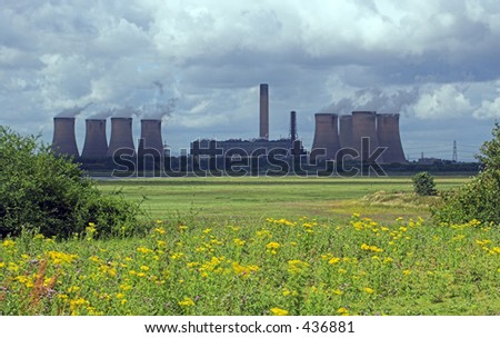 A view across fields of wildflowers to a coal powered powerstation belching out steam, under a cloudy sky. Fiddlers Ferry power station, UK