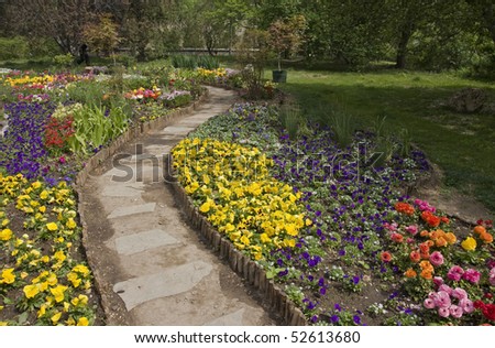 Garden alley with flowers