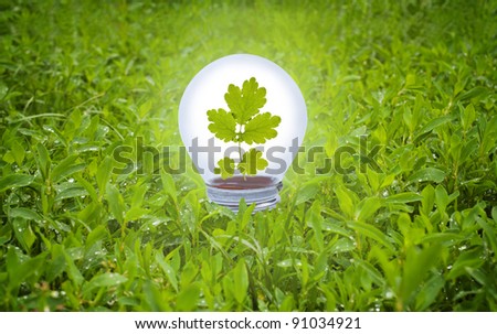 Light bulb in grass. Concept of green energy.