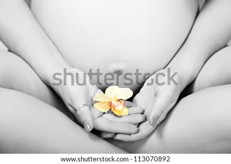 Woman\'s hands hold flower against pregnant belly