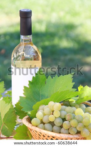 A bottle of white wine with grapes in basket and leaves . Outdoor. Summer day.