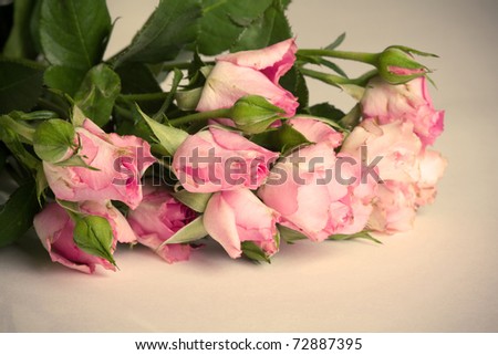 Shabby Chic Roses. Vintage roses