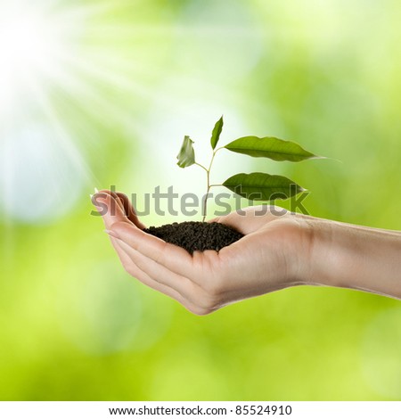 Woman\'s hand with young plant in soil over nature background
