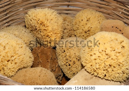 Natural Bath sponges