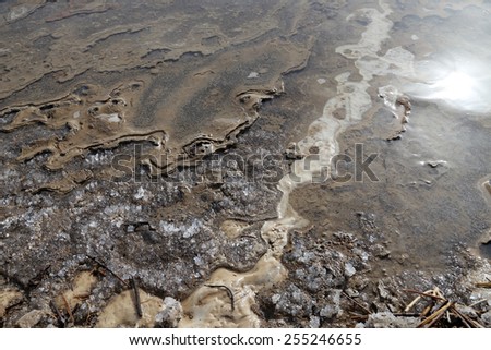 The medical mud on the shore of the Dead Sea, Jordan