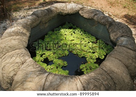 Old well in a poor village peasants, Kerala, South India