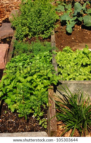 An organic kitchen garden made with wood, rocks and compost