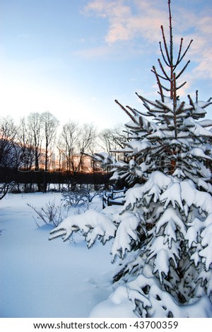 A snow-covered backyard at sunrise