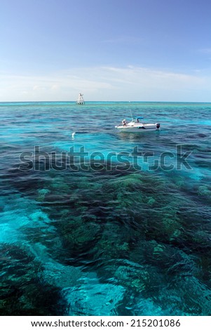 KEY LARGO, FL - July 27: Boaters enjoying a beautiful afternoon at Molasses Reef in the Florida Keys July 27, 2014 in Key Largo, FL.